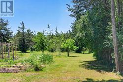 veggie ready garden with asparagus patch - 