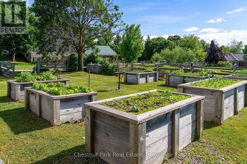 Raised vegetable gardens - 3554 Concession 3, Clearview, ON 