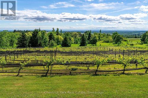 Upper Vineyard - 3554 Concession 3, Clearview, ON 