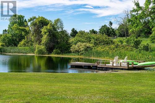 Main pond - 3554 Concession 3, Clearview, ON 