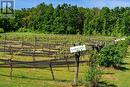 One of two wine producing vineyards - 3554 Concession 3, Clearview, ON 