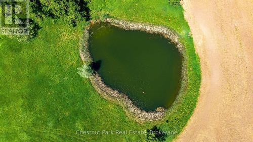 Secondary pond - 3554 Concession 3, Clearview, ON 