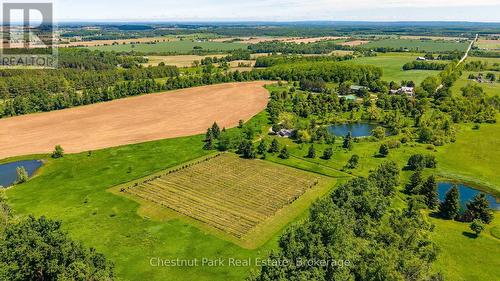 3554 Concession 3, Clearview, ON 