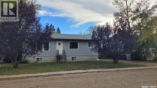 202 4Th Avenue, Landis, SK 