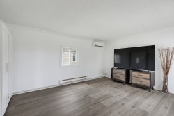 Salon - 