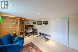 Rec room - basement - 