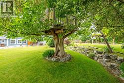 Tree house in back yard - 