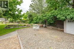 Back yard - 