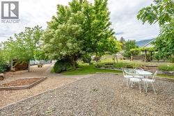 Back yard - 