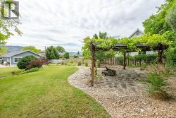 Pergola with grape vines - 