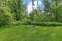 Fire pit - 