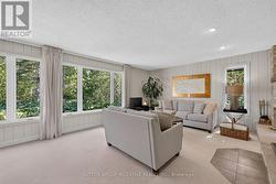 Living room overlooking backyard - 