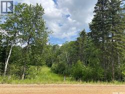 24 Tranquility DRIVE Cowan Lake, SK S0J 0E0