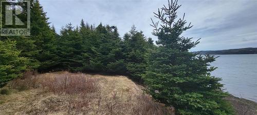 7A Green'S Road, Burin Bay Arm, NL 