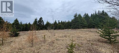 7A Green'S Road, Burin Bay Arm, NL 