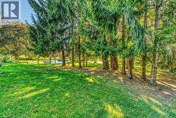 Yard - 