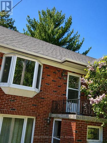 29 Codsell Avenue, Toronto, ON 