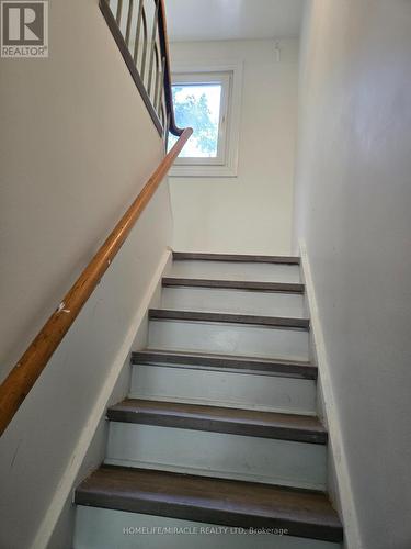 29 Codsell Avenue, Toronto, ON 