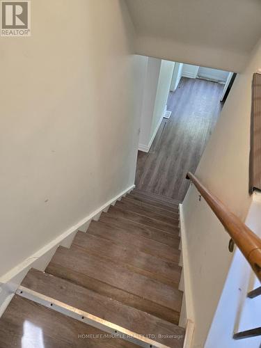 29 Codsell Avenue, Toronto, ON 
