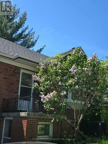 29 Codsell Avenue, Toronto, ON 