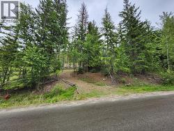Aspen Road Lot# 331 Anglemont, BC V0E 1M8