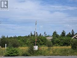 4 Sheldon Place Stephenville, NL A2N 0B6