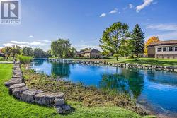Pond - 