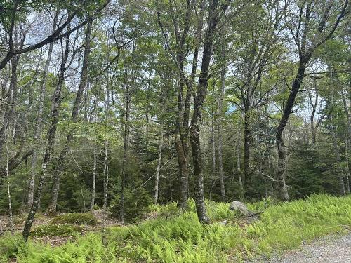 74 Thumb Cap Point, Labelle, NS 