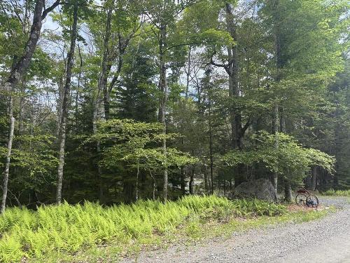 74 Thumb Cap Point, Labelle, NS 