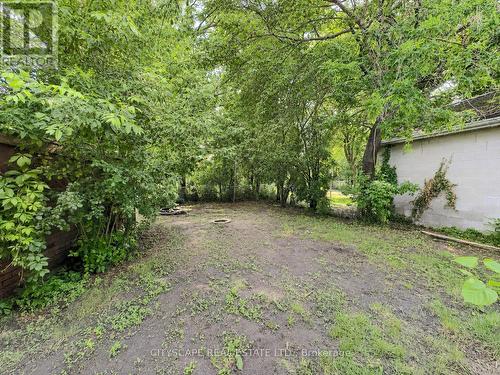 Backyard - 238 Lancaster Street W, Kitchener, ON 