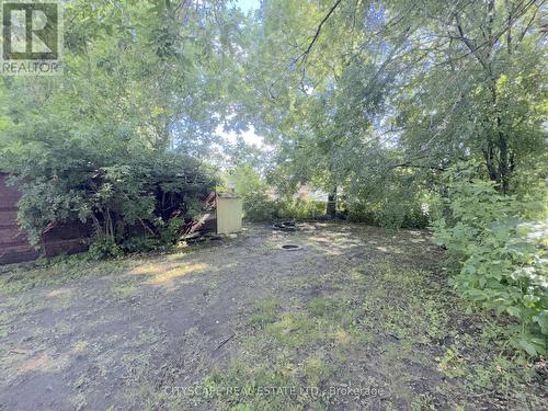 Backyard - 238 Lancaster Street W, Kitchener, ON 