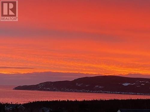 91 Motion Drive, Torbay, NL 