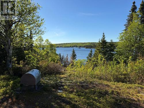 0 Square Pond Road, Gambo, NL 