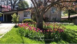 5 COTTONWOOD DRIVE Toronto, ON M3C 2B3
