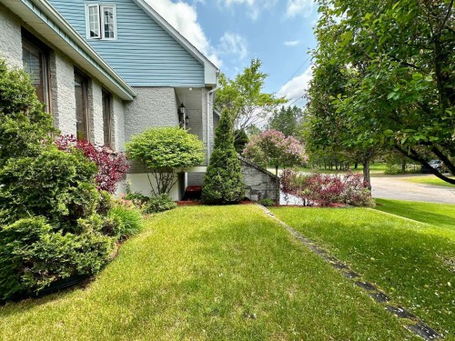 Extérieur - 2365 Rue Guenette, Val-David, QC 