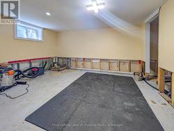 Basement: 3rd Bedroom - 