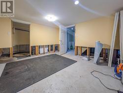 Basement: 3rd Bedroom - 