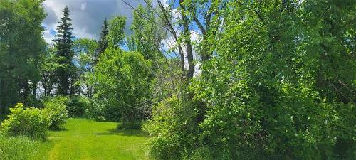 7087 22 Rd, Morris, MB 