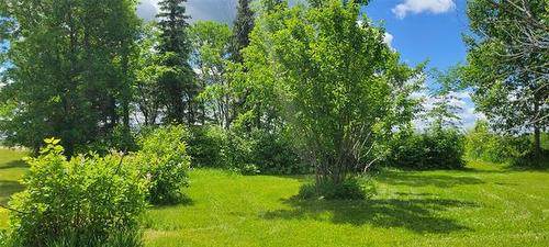 7087 22 Rd, Morris, MB 