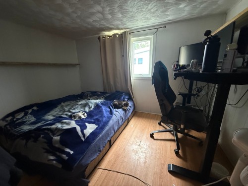 Chambre à coucher - 3 Rue Langlois, Notre-Dame-Du-Nord, QC - Indoor Photo Showing Bedroom
