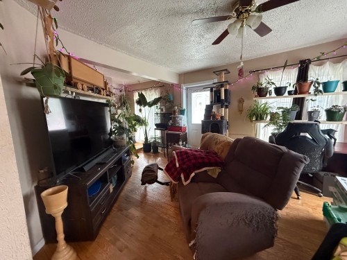 Salon - 3 Rue Langlois, Notre-Dame-Du-Nord, QC - Indoor Photo Showing Living Room