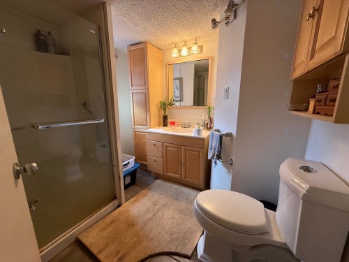Salle de bains - 3 Rue Langlois, Notre-Dame-Du-Nord, QC - Indoor Photo Showing Bathroom
