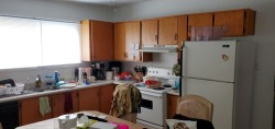 Cuisine - 