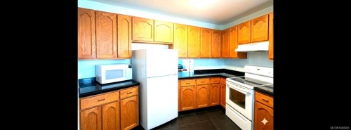 #302-30 Cavan St, Nanaimo, BC 