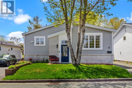 6 Dalton Avenue  Mount Pearl, NL A1N 2J2