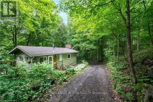 551 East River Road, Brant, ON 
