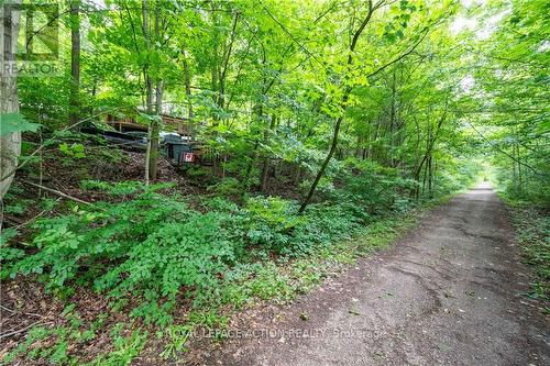 551 East River Road, Brant, ON 
