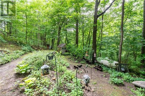 551 East River Road, Brant, ON 