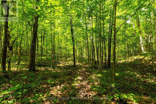 Tbd Scott Lane, Rideau Lakes, ON 