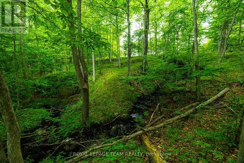 Tbd Scott Lane, Rideau Lakes, ON 